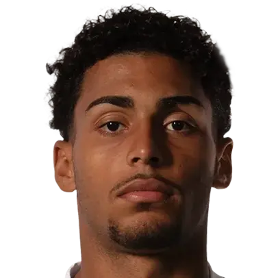 Luighi Hanri Sousa Santos
