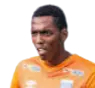 André Junio Pereira da Silva