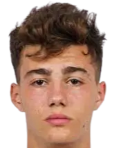 Jovan Mituljikić