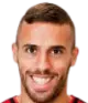 tomer levi