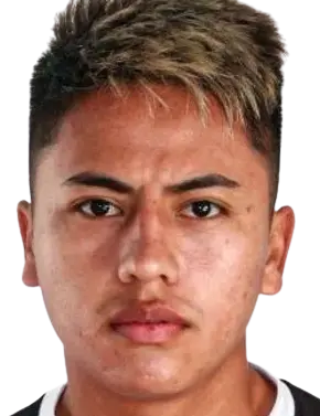 Alexander Lecaros Aragón