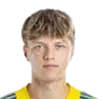 Tomas hellebrand