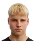 otto minkkinen