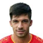 domenico anzelmo