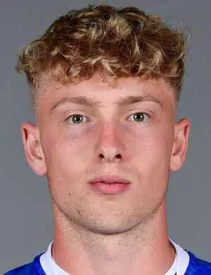 dan ellison