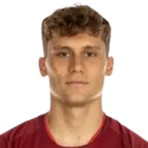 Stefano Piccinini