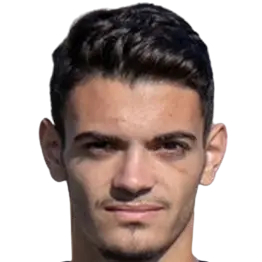 Emanuel Francisco Teixeira Ribeiro