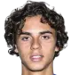 João Pedro Moreira Teixeira
