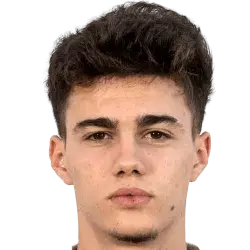 Nikola Mituljikic