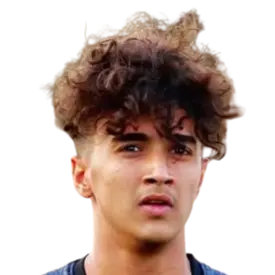Amirreza Sheikhirad
