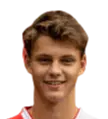 David Štětka