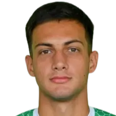 Milan djokovic