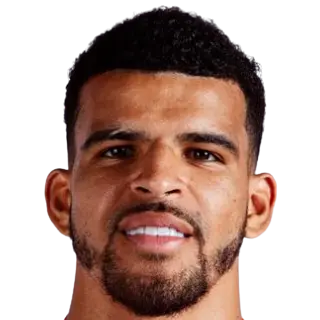 Dominic Solanke
