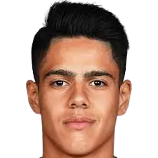 Tiago Miguel Hora Ribeiro