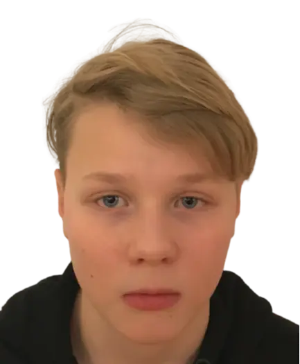 Robert Veering