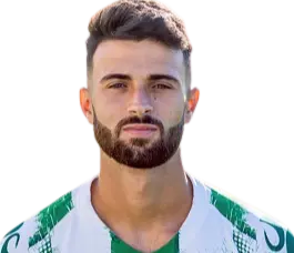 Pedro Miguel Santos Amador