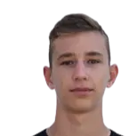 Lovro Zvonarek