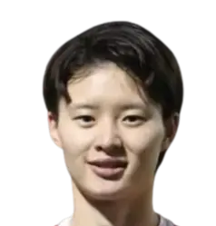 Han Huimin