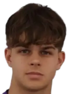 Patrick Dulcea