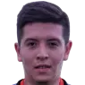 Gonzalo Alves