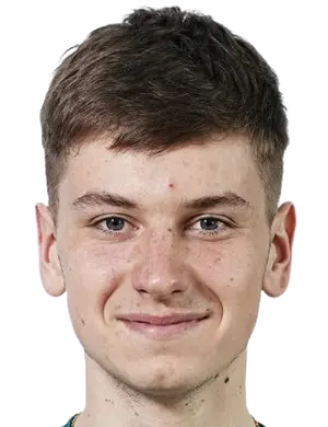 stepan gomonov