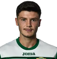 Bahadir Yesilcayir