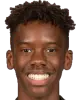 Harvey araujo