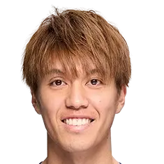 Hikaru Arai