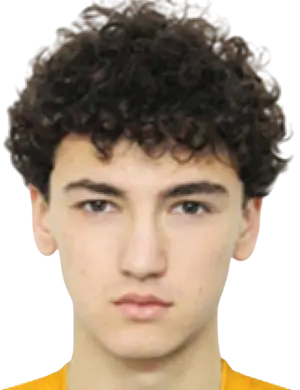 Andrei sosnovschi