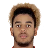 Willem Geubbels