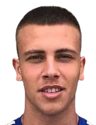 Josip Mihalic
