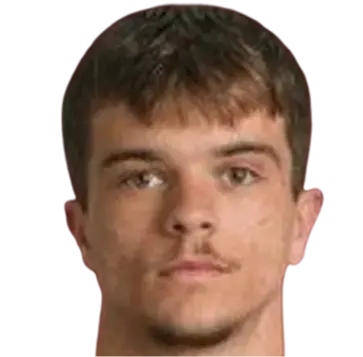 Hamza ljukovac