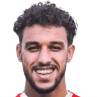 mahmoud gouda abou