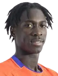 Meireles Injai