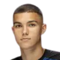 Noah Dollenmayer