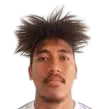 Nelson Sarmento Viegas