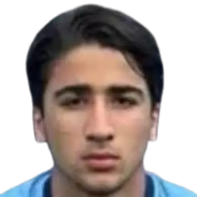 Seyfi̇ Efe Irga