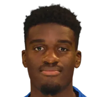 Chris-Vianney Goteni