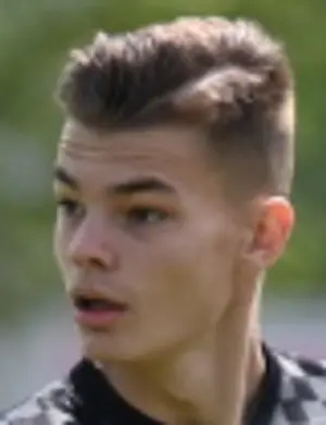 Tin miljak