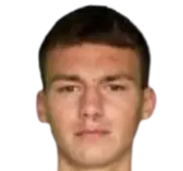 Nikola Stajic