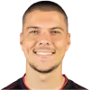 nemanja lemajic