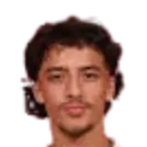 hasan ayyildiz