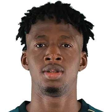Drissa Coulibaly