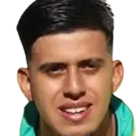 David Villa Mazo
