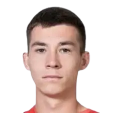 Tin zavalic