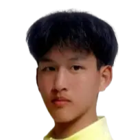 Lei Jiawei