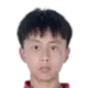 Jin Lei