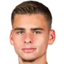 savelijs boroviks