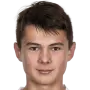 Stepan beran
