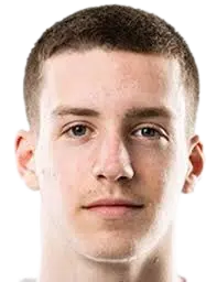 Dominik babic
